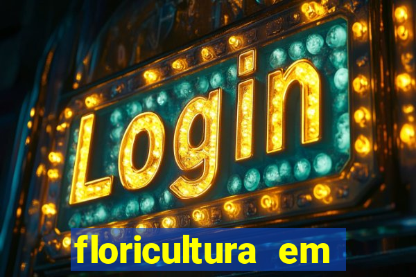 floricultura em franca sp